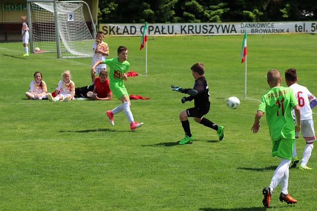 项目与良好 项目与良好