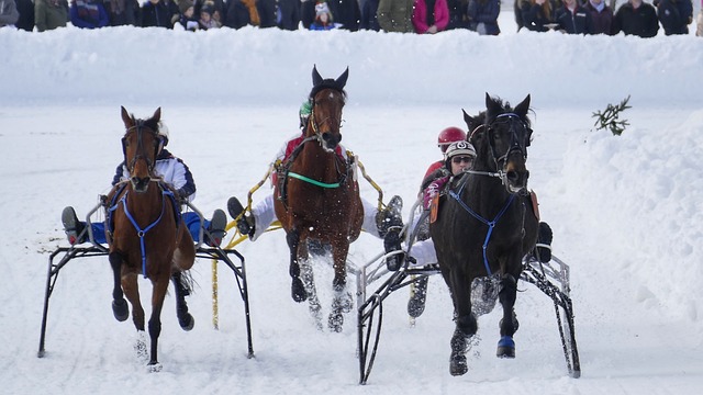 的每一場比 的每一場比