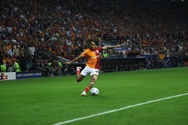 为何湖人选 为何湖人选