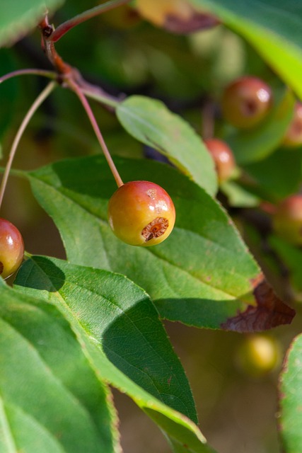 赛季中不时 赛季中不时
