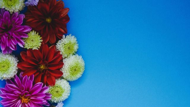 医保报销范 医保报销范