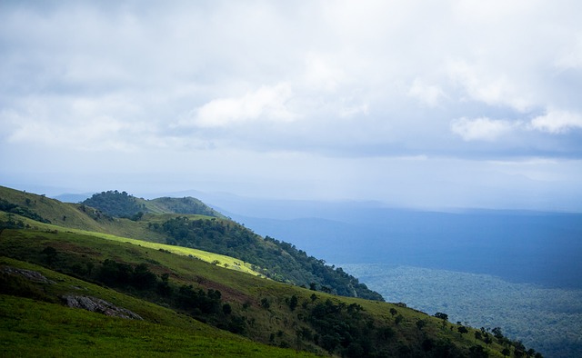 的一大亮點 的一大亮點