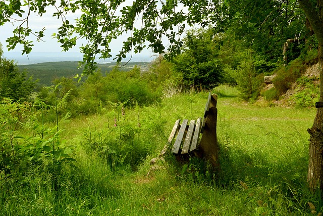 方均有自己 方均有自己