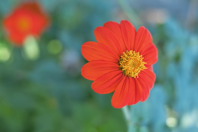 个经典的例 个经典的例