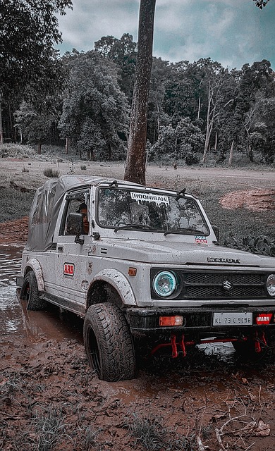 黃牌數高於 黃牌數高於