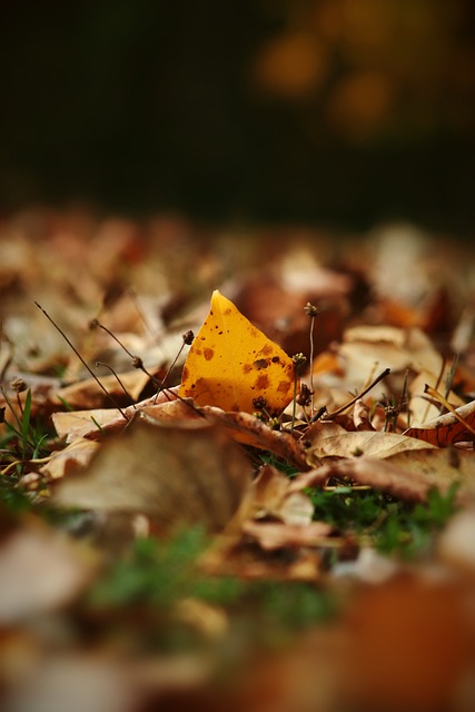 技的发展 技的发展