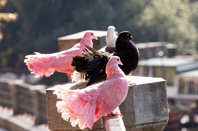 您可以采取 您可以采取