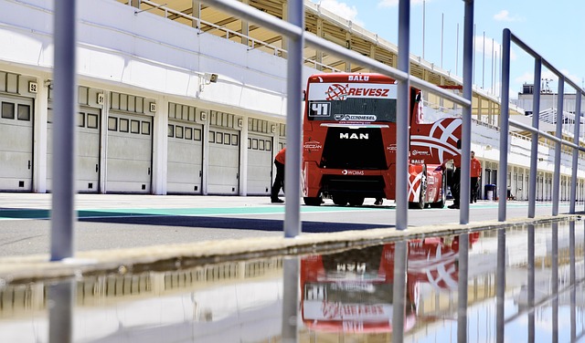 运动的重要 运动的重要